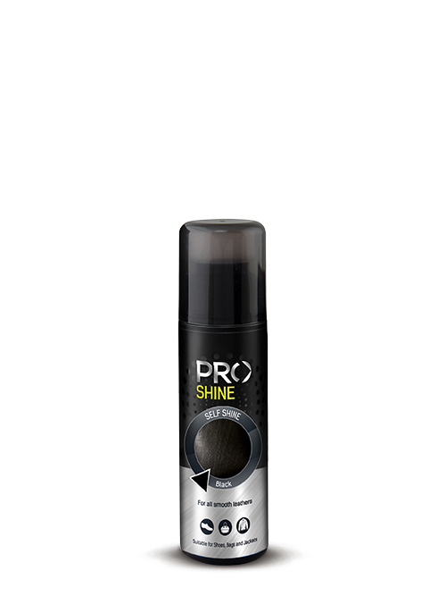 ᐉ DL Black liquid self-shining paint 1709 → Shoe cosmetics at Top Prices —